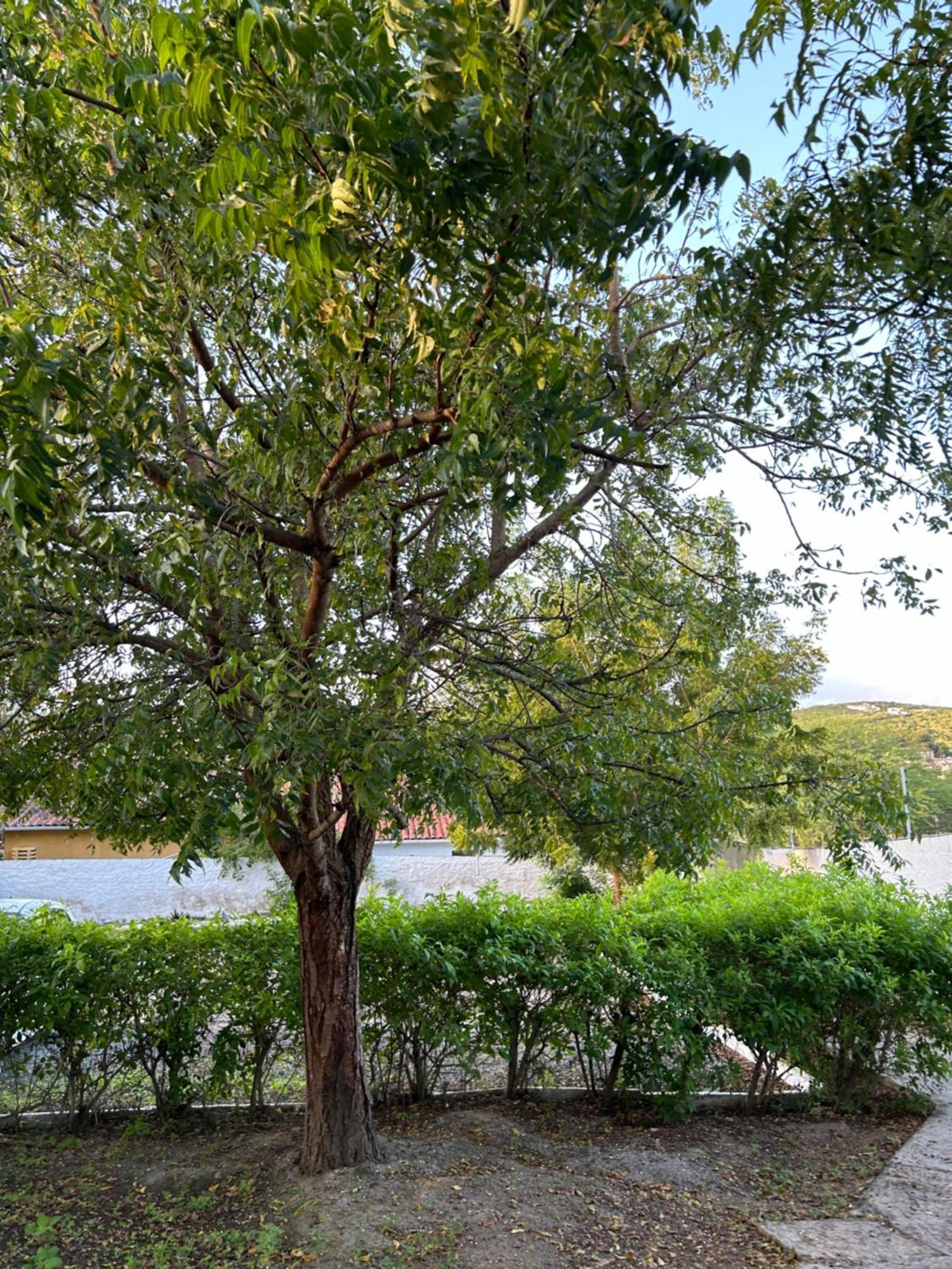 Flat - Brisa Da Serra -